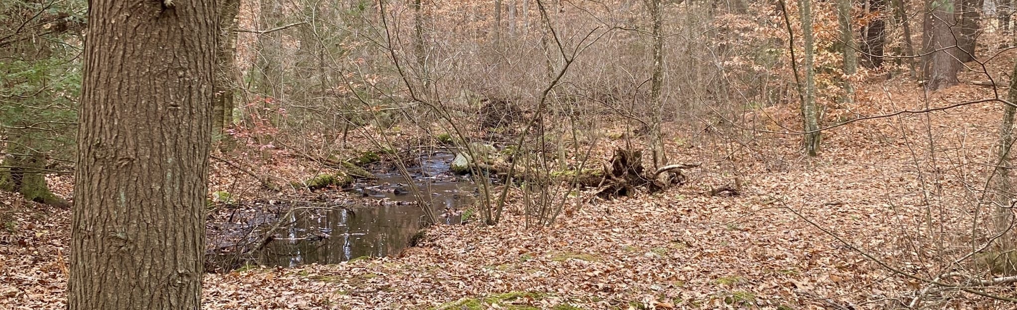 Hatch Lots Conservation Area Trail, Massachusetts 25 Reviews, Map