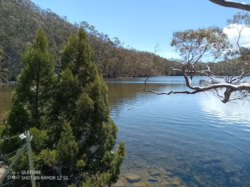 10 Best Hikes and Trails in Mount Field National Park | AllTrails