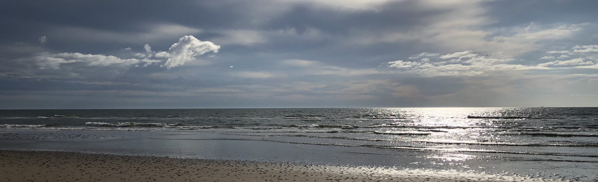 Surfside Beach 37 Reviews, Map Texas AllTrails