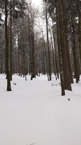 Schwarzecker Rundweg (Lo07)
