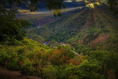 Dickschieder-Wildwechsel (Premiumwanderweg)