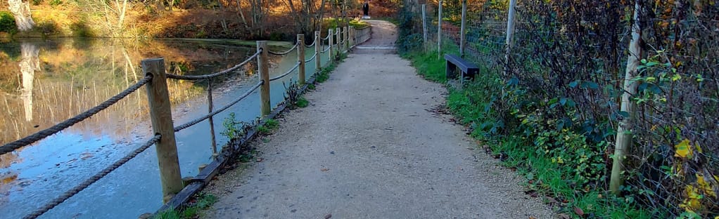 Steep Wood and New Pond Circular: 26 fotos - West Sussex