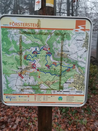 Eifeltraum (Traumpfädchen)