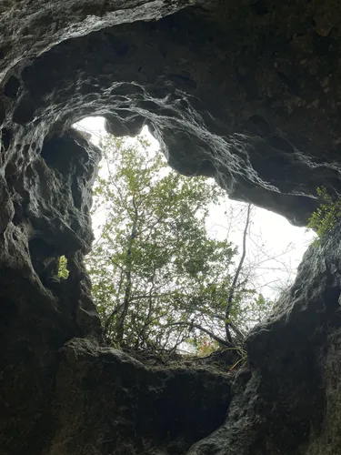 2023 Best Wildlife Trails in CampestreetLuc AllTrails