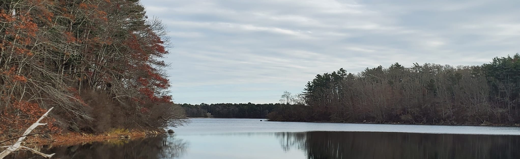 Moraine Trail Massachusetts AllTrails