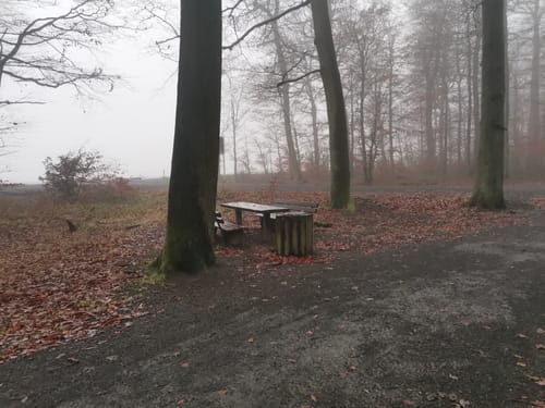Eifeltraum (Traumpfädchen)