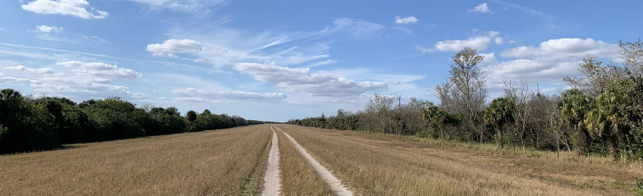 Florida Trail Okeechobee North to Kissimmee River, Florida 6 Reviews