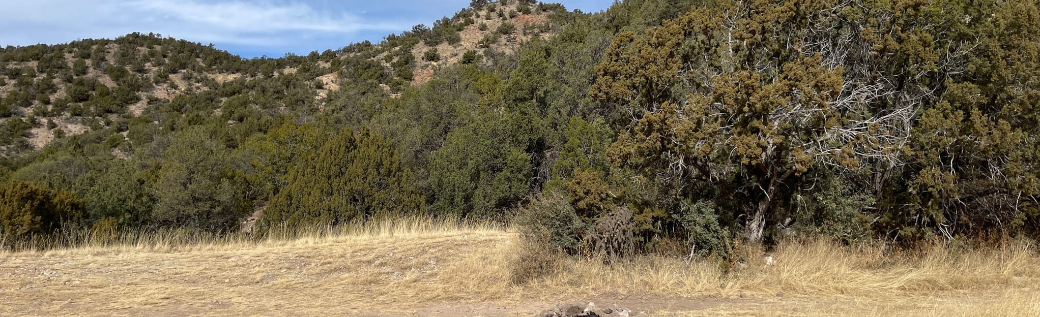 Ranchario Trail, New Mexico 6 Reviews, Map AllTrails