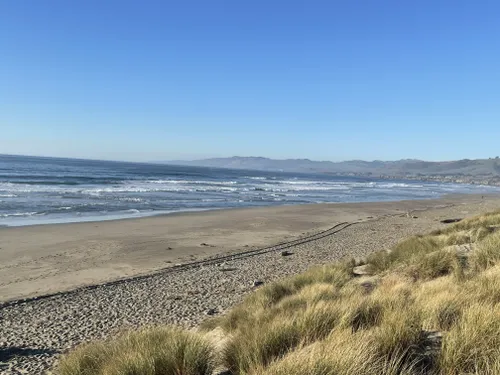 10 Best Trails and Hikes in Bodega Bay | AllTrails