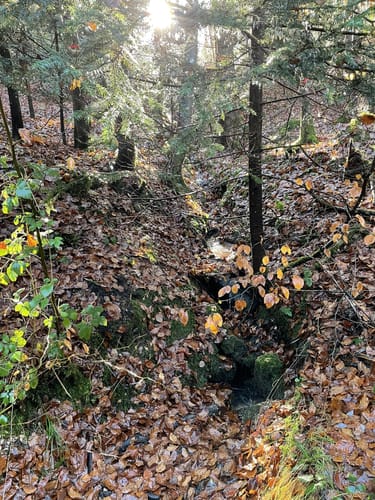 Herrenbachtal Weg