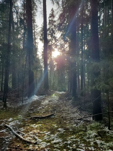 Speichersdorf Rundwanderweg Nr. 3