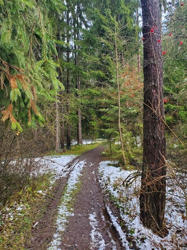 Speichersdorf Rundwanderweg Nr. 3