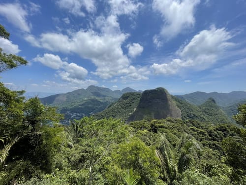 Tijuca National Park Hiking Tour, Rio de Janeiro