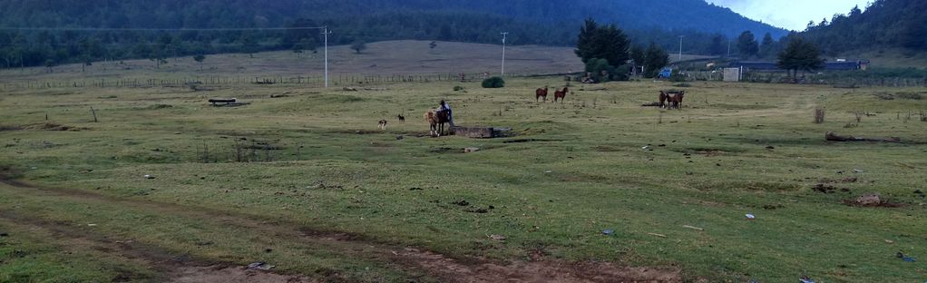 Paracho de Verduzco - Cerro del Águila: 2 Reviews, Map - Michoacán, Mexico  | AllTrails