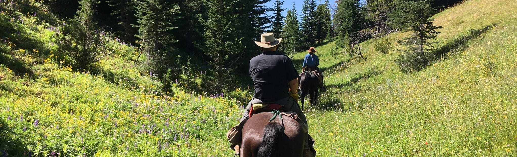 Spruce Lake via High Trail, British Columbia, Canada Map, Guide AllTrails