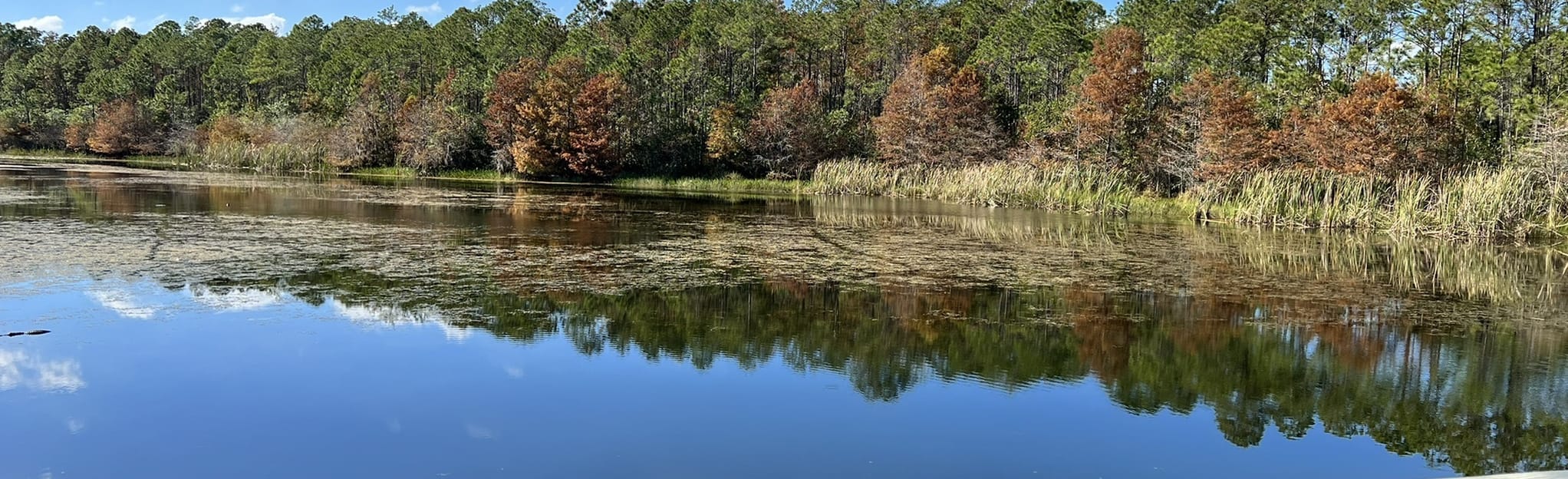 Shingle Creek Regional Trail Sand Lake to Oak Ridge, Florida 126