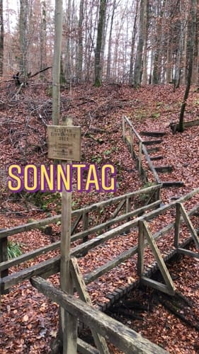 Firstwaldrunde (Premiumwanderweg)