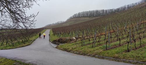 Unterm König und zum Mettenberg
