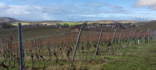 Unterm König und zum Mettenberg