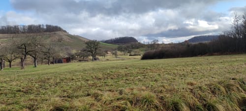 Unterm König und zum Mettenberg
