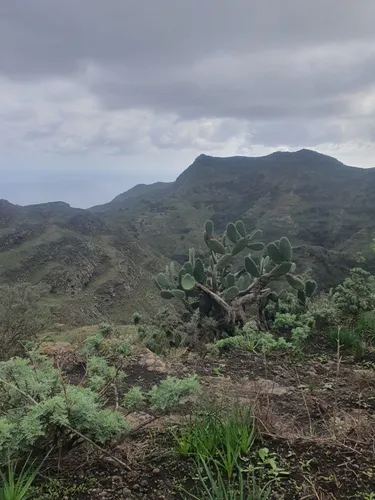 Best Hikes and Trails in Reserva Natural Integral de Ijuana AllTrails