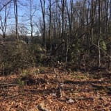 Tunnel Ridge Road, Kentucky - 397 Reviews, Map | AllTrails