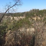 Tunnel Ridge Road, Kentucky - 397 Reviews, Map | AllTrails