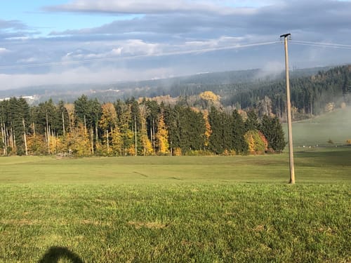Waldcafe nach Hochemmingen