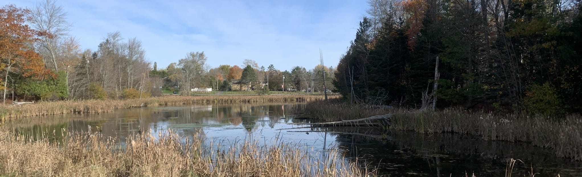 Hampton Nature Trail, New Brunswick, Canada 58 Reviews, Map AllTrails