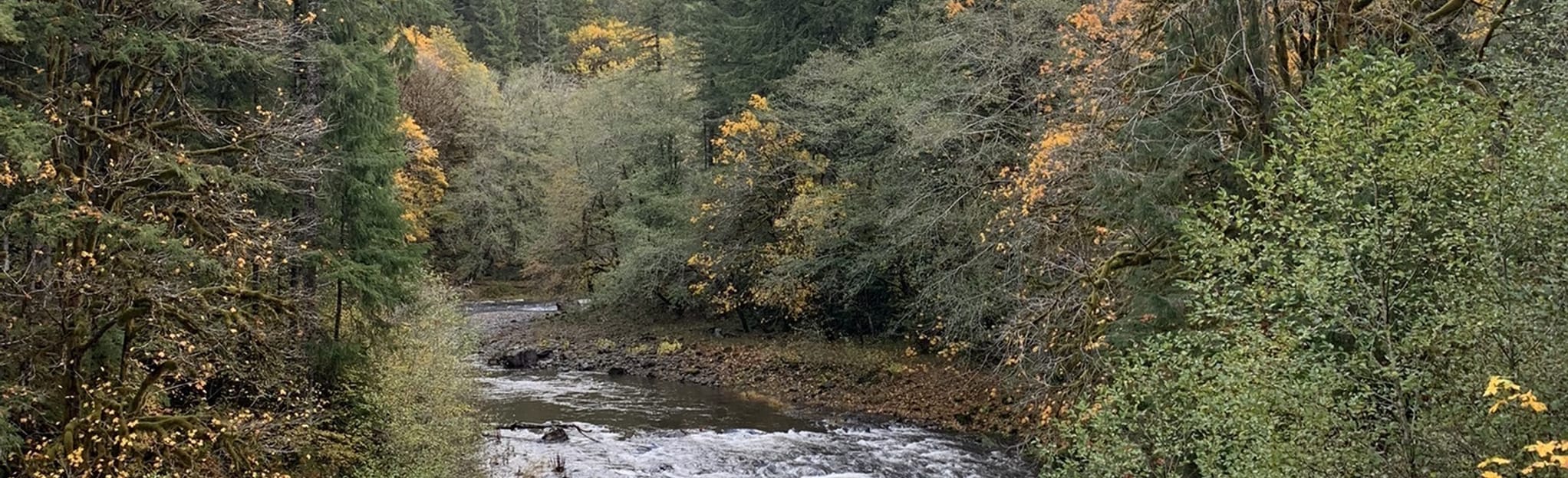 Salmonberry River Beaver Slide Road to the Nehalem River [CLOSED