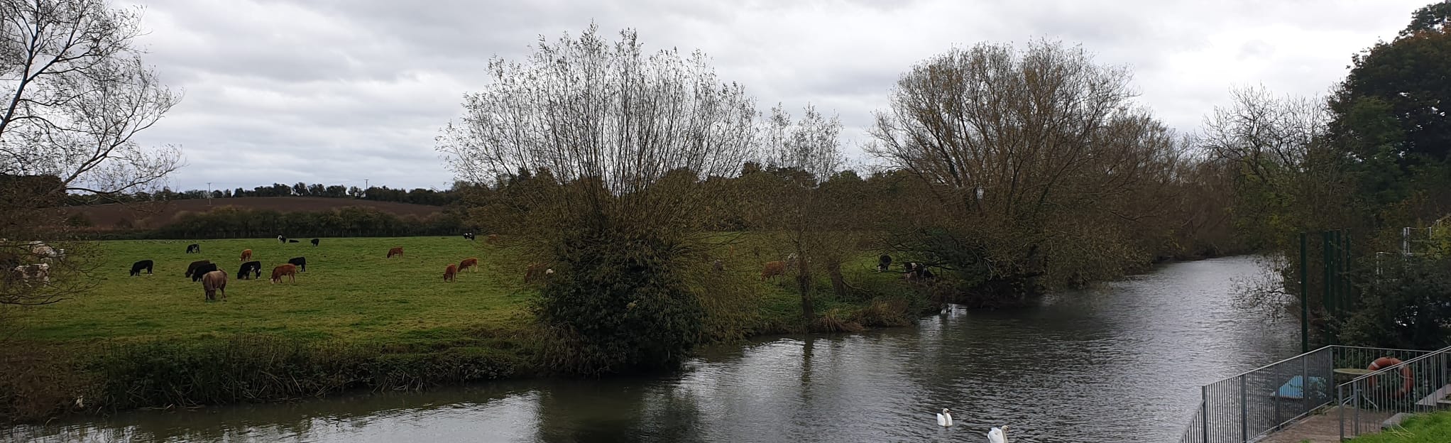 Luddington River Circular 54 Fotos Warwickshire, England AllTrails