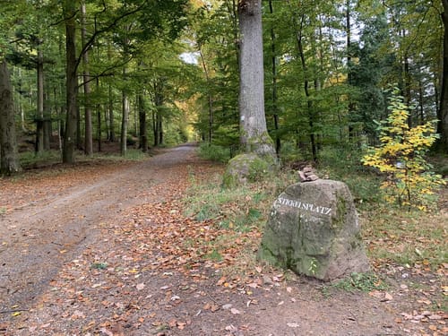 Über den Talweg von Handschuhsheim zum Weißen Stein