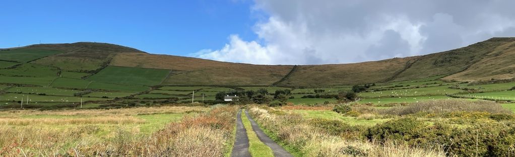 Maak een naam kiem Billy Laharn Bog Loop: 9 Reviews, Map - County Kerry, Ireland | AllTrails