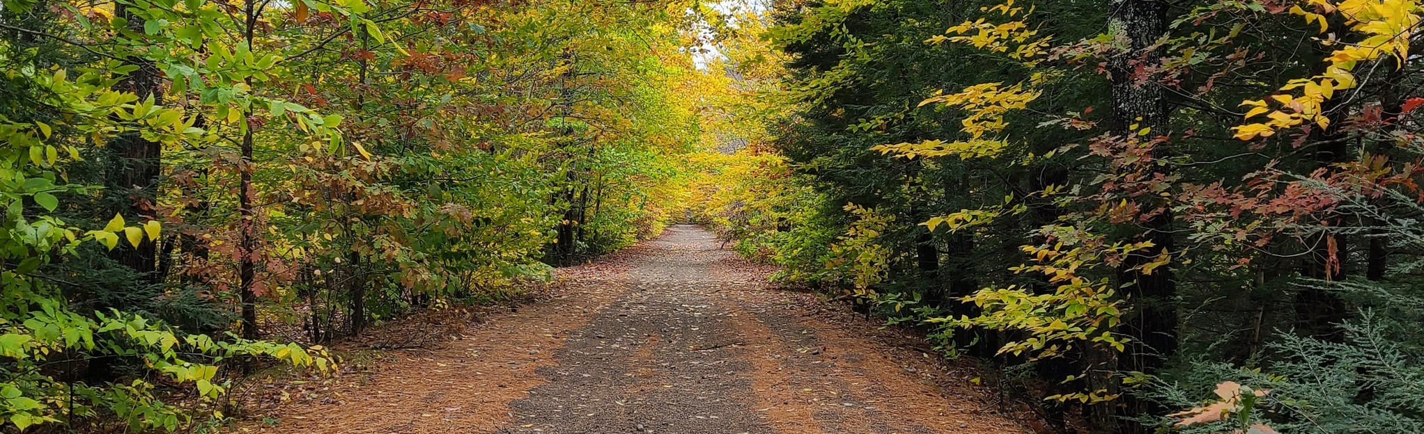 Pleasant Street to Smith Road via Railroad Trail 46 Reviews, Map