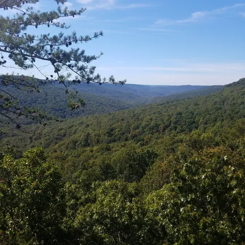 10 Best Trails and Hikes in Sparta AllTrails