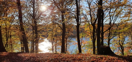 Neumühler See