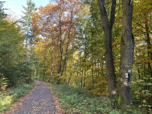 Burg Namedy - Krahnenberg - Weinsicht Runde