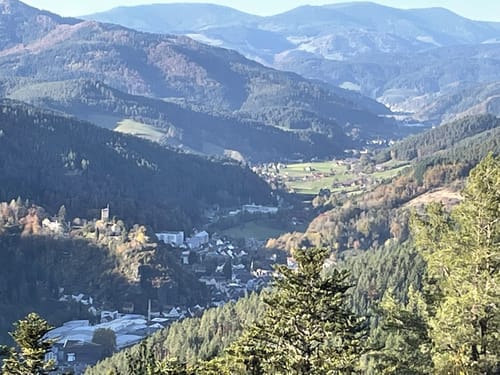 MTB-Tour: Mooswald - Hornberg - Windkapf