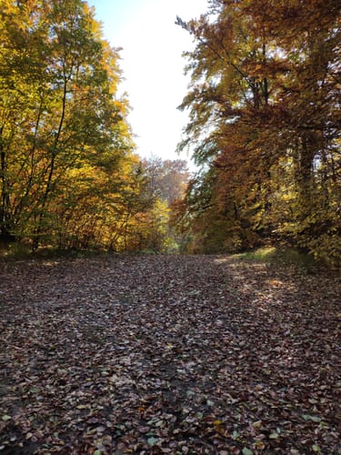 Trubachtalwanderung zur Höllensteinhöhle