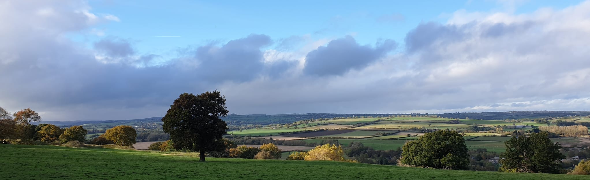 Harewood Park, Hollin Hall and Castle Plantation Circular 36 Reviews