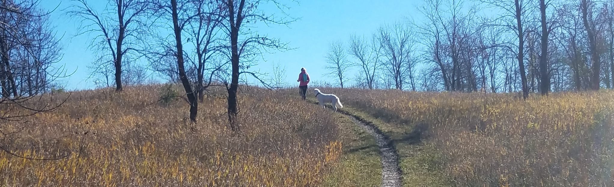 Sica Hollow Horse Trail, South Dakota 56 Reviews, Map AllTrails