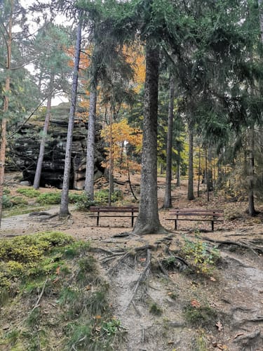 Seifersdorf -Talsperre Malter Runde