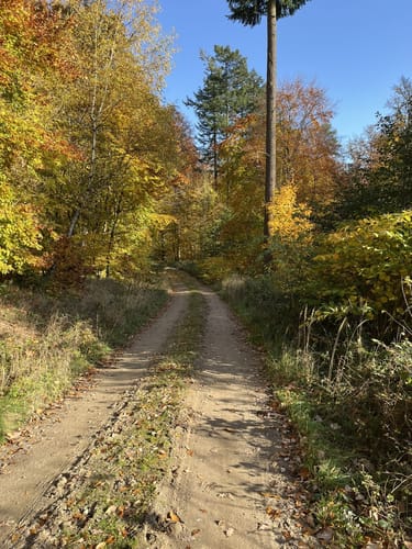 Helpter Berg Runde