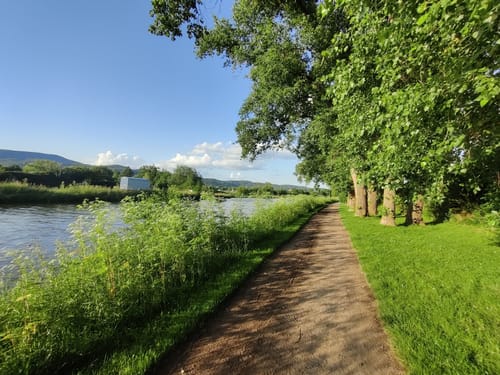 Eschweger Lauf (10km)