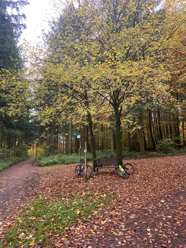 Saarwellingen - Schwarzenholz -Falscheid Rundweg