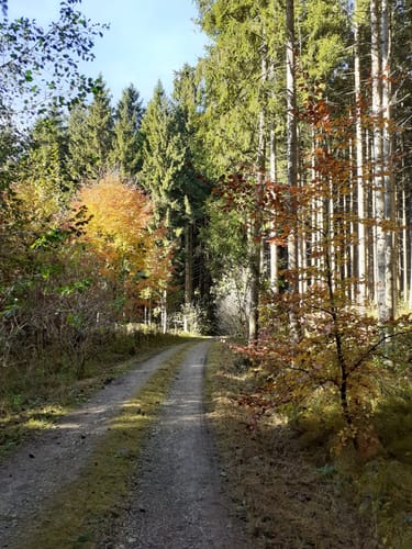 Lechrunde bei Mundraching