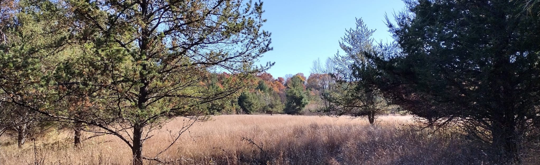 Riverview Park Loop 69 Reviews, Map Wisconsin AllTrails