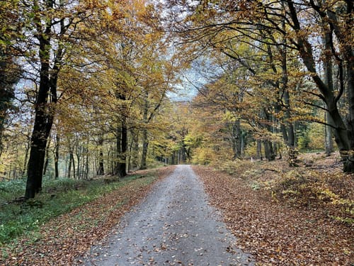 Durch den Deister
