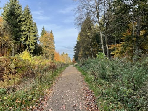 Durch den Deister