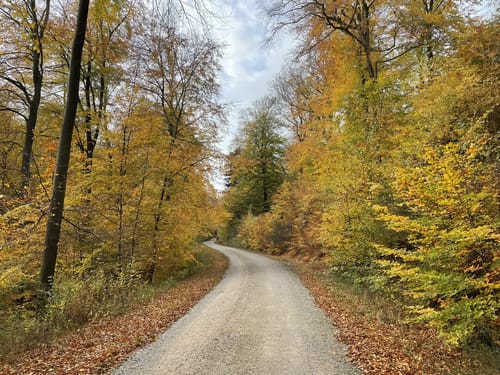 Durch den Deister